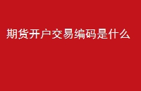 ڻױʲô
