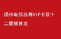 ݵƷVIP˫ʮ׷
