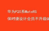 ΪP20ϵMateRSʱƻԱGPU