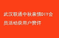 人ͨDIYԱû