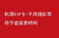 VIP-Ŷӵȴʡʱ